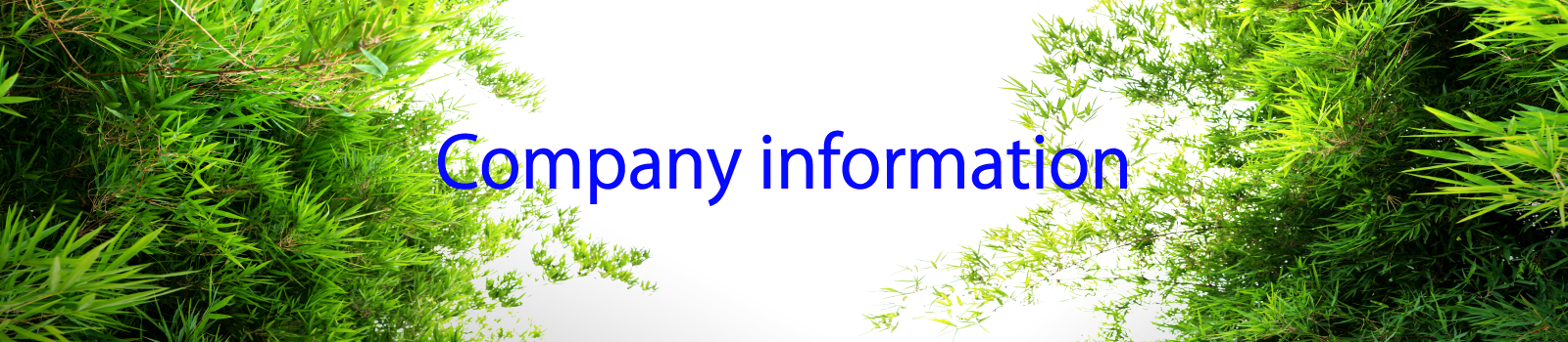 Company information